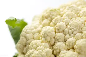 如何判断私处的痘痘？图片