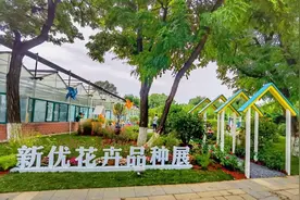 【FENG闻】丰台金秋文化旅游季——“2021年北京秋季新优花卉品种展示推介会”在世界花卉大观园揭开帷幕图片