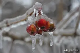 长春小伙留学日本，几年花几十万，大学还没着落却遇这些糟心事图片