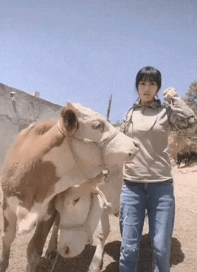 大风吹来个女朋友，快来捡女朋友了！图片