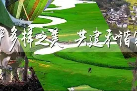 南京红山森林动物园：为野生动物撑起保护伞 | 生物多样性主题征文图片