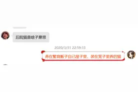 养猫，后院猫、猫舍猫、领养猫，你会怎么选？图片