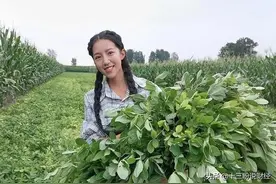 河南农村美女，为照顾父亲回村创业，两年赚50万被人民日报表扬图片