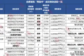 最快1周就动工！9盘欲“抢跑”，合肥首批集中拍地下的众生相图片