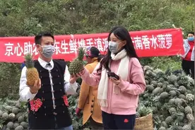 防疫不懈怠，脱贫不断档！河口县多措并举保发展图片