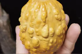 葫芦中的另类图片