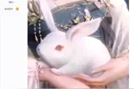 剑网三中秋盒子兔子货不对板引起疑惑，玩家：是不是发错货了图片