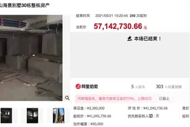 法拍房又一坑：5700万任性买别墅，最终330万打水漂图片