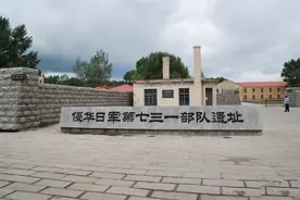 日军最隐秘最恶毒的特攻行动：拟用2吨跳蚤对美国发动细菌总攻图片