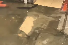 福州暴雨后，两条大鱼悄悄潜入街头积水，被人拍下后成“网红鱼”图片