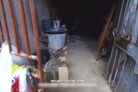 【守护万家团圆】跳进化粪池救人的派出所所长醒了！一个动作让人泪目...图片