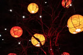 多图实例讲解：机位是如何影响画面的？－摄影早自习第1502天图片
