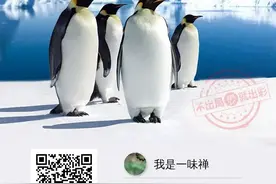007是什么？加入007，能收获什么？图片