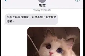 房东不允许养宠物，当把猫照片发过去后，他态度就改变了：破例了图片