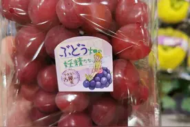 日本葡萄新品种-妖姬图片