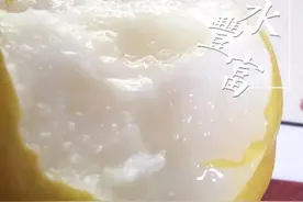 这颗丰水梨比拳头还大，雪白细嫩、松脆清甜，爽图片