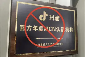 MCN侵权处罚公告图片