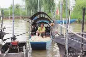 休渔期结束！渔民满载而归，西江生猛河鲜好抢手......图片