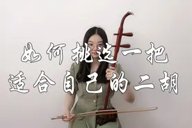 购买一把二胡是音色优先，价格优先，还是外观优先？图片