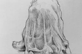 一组完美的透视图片