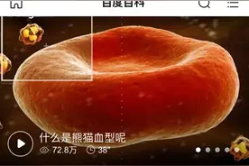 你身边有没有熊猫血的人，我就是图片