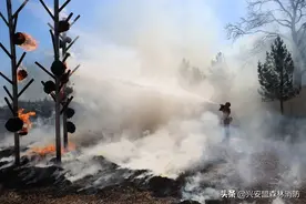 箭在弦上、引而待发图片