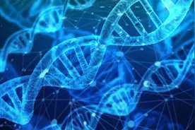 最新研究：人类寿命上限或为150岁【三分钟法治新闻全知道】图片