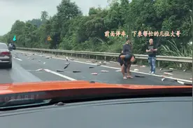 天上掉鱼？成都高速路面大鱼乱跳，有的被车压碎，网友：怎么不捡图片