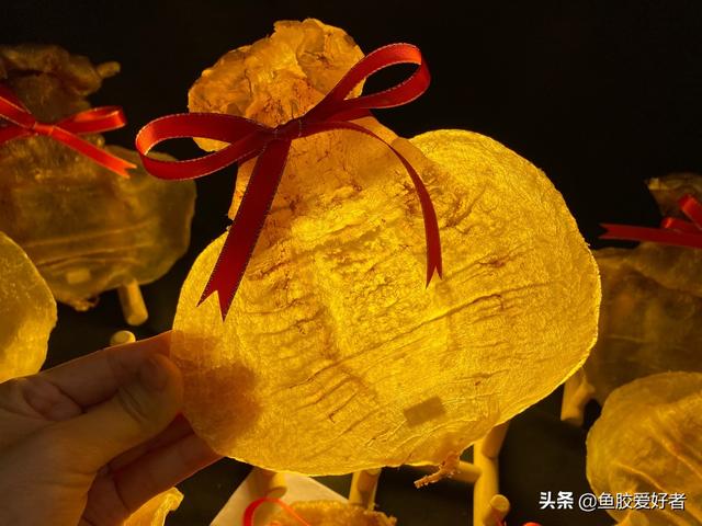 石肚公鱼胶市价多少 2026年石肚公是什么级别花胶