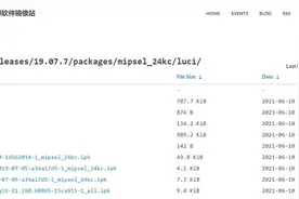 升级版OpenWRT系统手动安装简体中文语言包图片