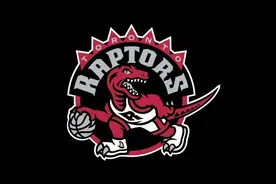 突发！NBA的猛龙队，开会讨论罢赛，网友：又是因为种族问题图片