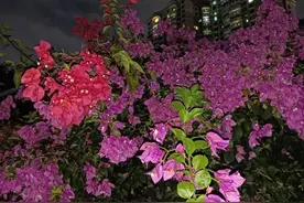青春故事(散文)图片