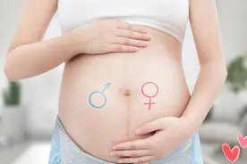 为什么胎宝宝总是在“左边胎动”？难道怀的是男宝？真正原因有四图片