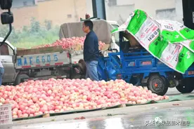 专家预测！双节过后！下半年苹果行情将发生这些改变图片