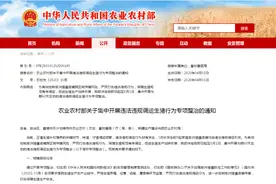 控制非洲猪瘟，生猪调运千万别随便，最严监管措施来了！图片