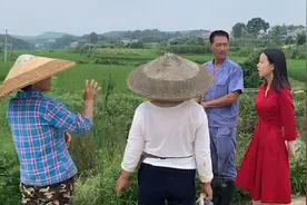 海归女硕士包下2千亩荒山当农民 被村民当反面教材教育孩子视频封面