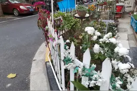 婚前流产，导致婚后不孕图片