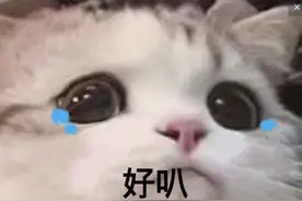 撩人表情包：游乐园有个旋转什么来着图片