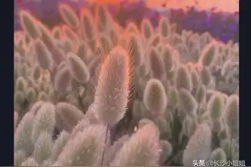 男人说我不在乎你的外貌身材，你信吗？图片