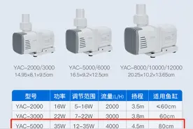新手轻松养金鱼-选择鱼缸水泵，从不懂到十分懂（上）图片