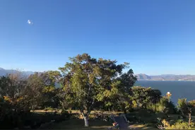 爸爸妈妈求你们别打麻将了，父母的麻将人生，给我们无尽伤痛图片