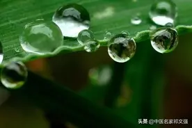 燥湿、化湿、胜湿、渗湿、利湿，最全面详解图片