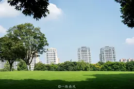 亚洲最大的城市中央公园，位于重庆，现在免费开放图片