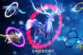 13种魂环颜色，6种代表了魂环的年限，4个魂环有特殊含义图片