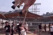 搞笑GIF：老鼠 啊啊啊让我当场去世算了图片