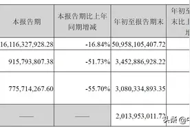 双汇发展第三季度净利腰斩！将开展期货套期保值业务图片