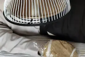 中医特色治风湿，中药封包有“奇效”图片