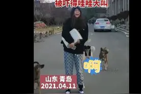 青岛女生被三只流浪狗包围吓得大哭大叫，流浪狗吓得赶紧离开图片