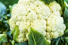 “菜花”天天吃，你真的了解么？来看这里，教你如何挑选和保存图片