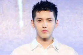阳奉阴违？LV法国总部称终止吴亦凡合作非暂停，被扒中国总裁姓吴图片